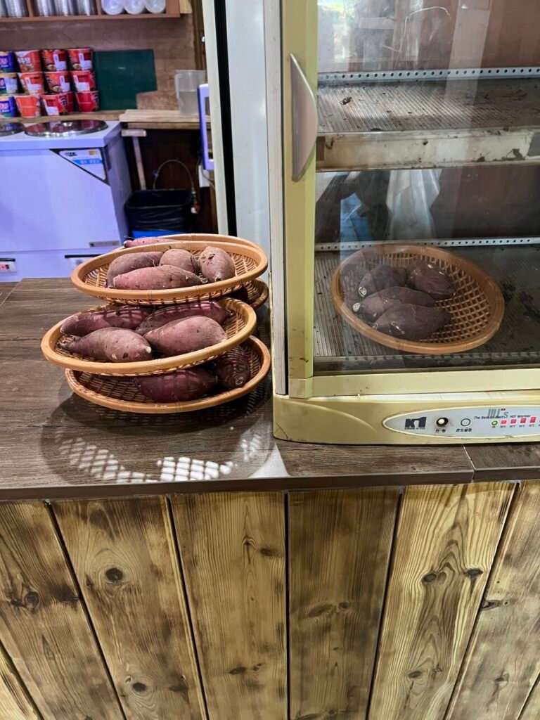 Korean sweet potatoes at Yulam Hot Springs jjimjilbang